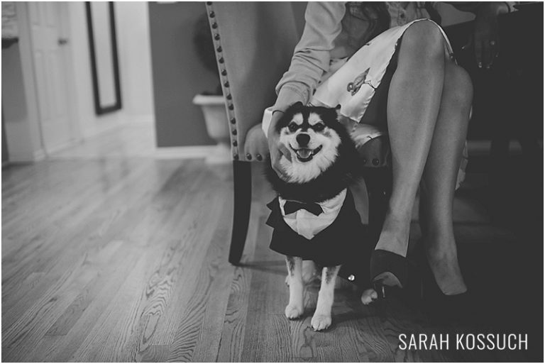 Rochester Hills Backyard Wedding 2245 | Sarah Kossuch Photography
